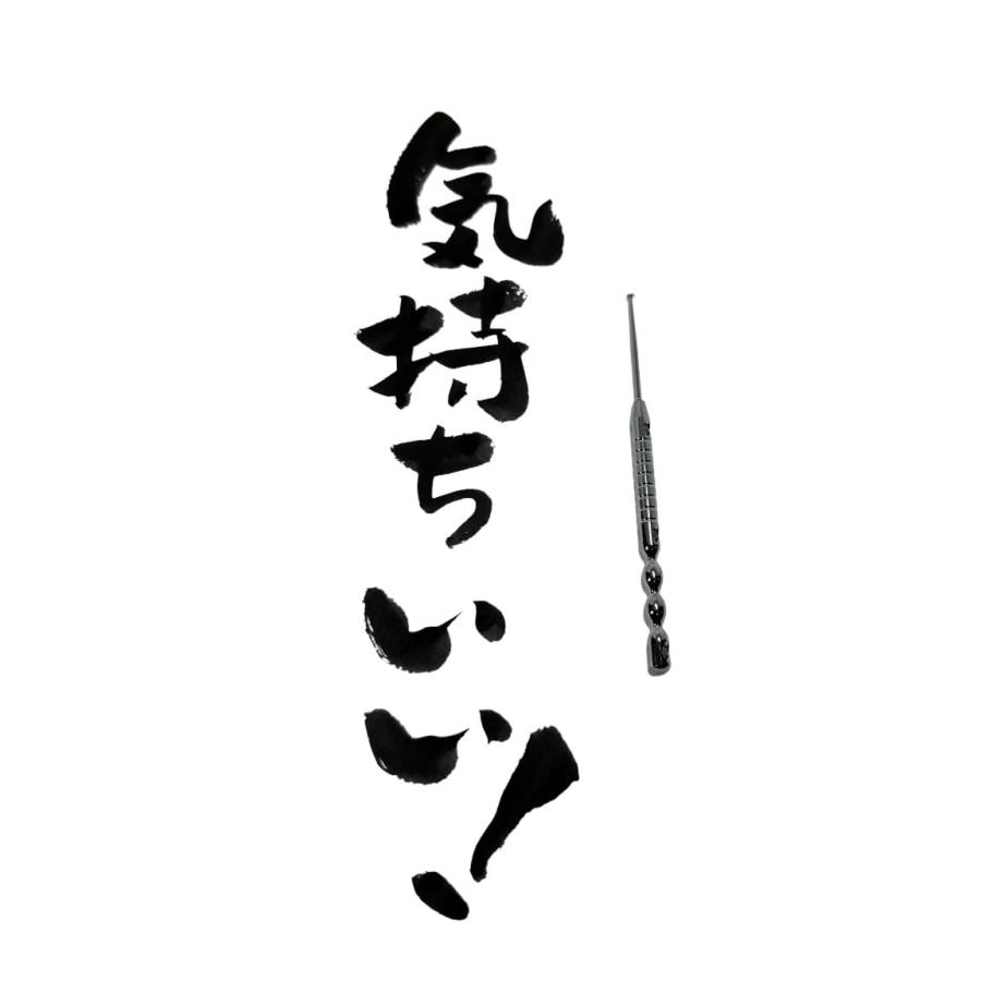 みーぽん（極細）耳かき 奥まで掻ける 究極の耳かき 爪楊枝より細い