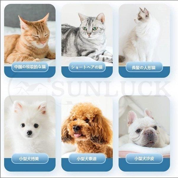 【新品 送料込み】 ペット乾燥箱 乾燥ハウス ドライルーム 全自動 ドライヤーを嫌がるうちの子のために 静かに乾かせる 犬 猫 完全密閉 【D2518571169】(14701円)