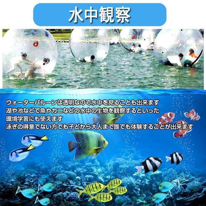 ★レア物 新品未開封 散歩 バルーン 水上 ウォーター new ダッシュ ボール 水上歩行 透明水中観察 集客 イベント マリンスポーツ 家族 大型 遊具 誕生日プレゼント 【TM1185780476】(42706円)