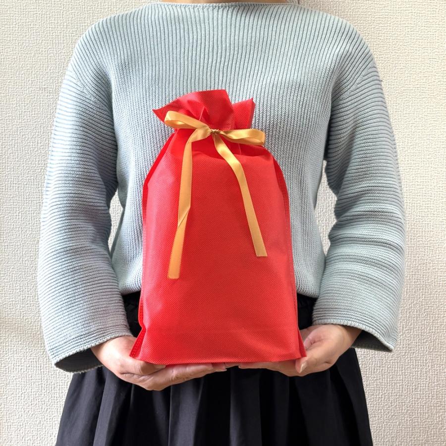【Xmas・中 10枚セット】ギフトラッピング クリスマス ラッピング 不織布 包装 ギフト 袋 wrapping バレンタイン 誕生日 バースデー お正月 お祝い プレゼント |  | 07