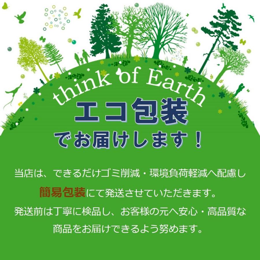 iPhone イヤホン 変換アダプタ 2個セット 充電しながらイヤホン 音楽 通話  iOS 18対応 iPhone 充電 イヤホン 同時 イヤホンジャック 二股 |  | 18