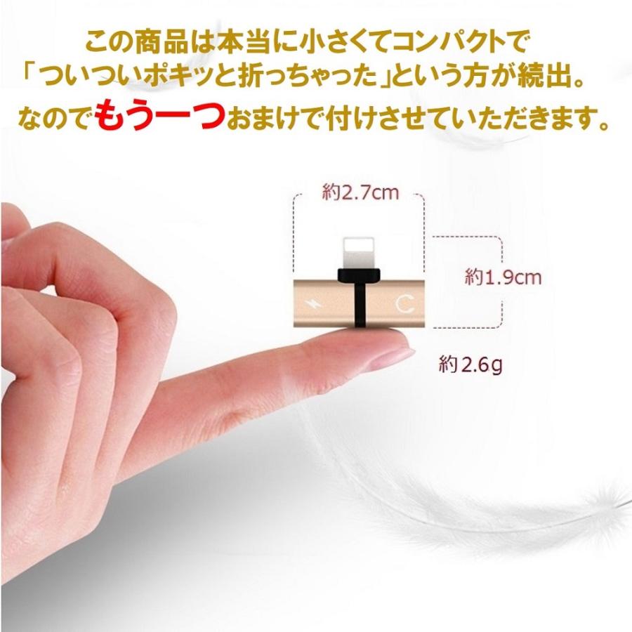 iPhone イヤホン 変換アダプタ 2個セット 充電しながらイヤホン iPhone イヤホン 変換アダプタ 2個セット 充電しながらイヤホン