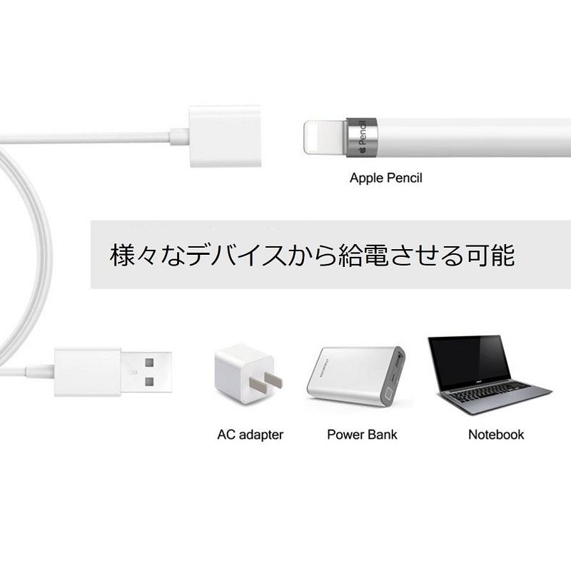 Apple Pencil 充電ケーブル ライトニング ケーブル 延長ケーブル Apple Pencil 充電ケーブル ライトニング ケーブル 延長ケーブル