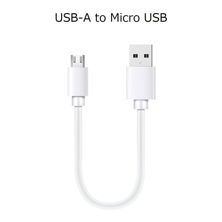 type-c to type-c C to L iPhone 充電ケーブル ライトニングケーブル 短い iPhone17 Air 16 15 14 13 充電 アイフォン ケーブル 25cm iPad iPod iPhone12 11 Xs | Apple | 11