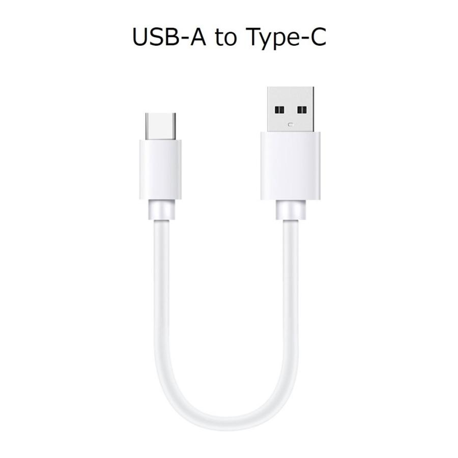type-c to type-c C to L iPhone 充電ケーブル ライトニングケーブル 短い iPhone17 Air 16 15 14 13 充電 アイフォン ケーブル 25cm iPad iPod iPhone12 11 Xs | Apple | 12