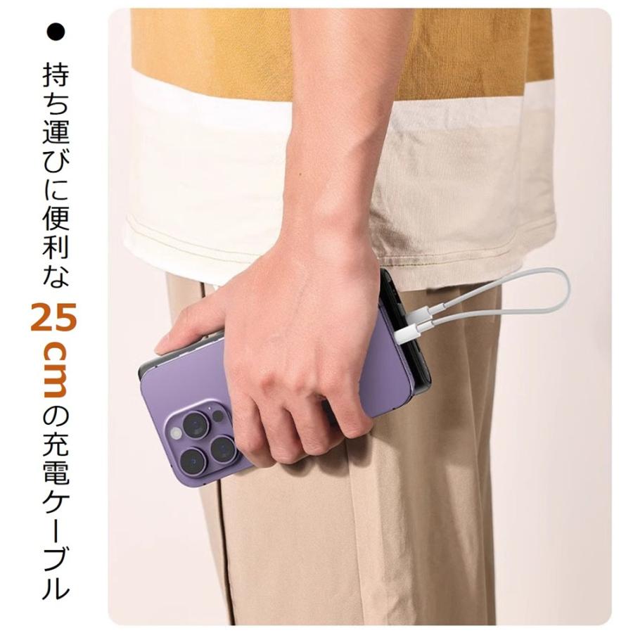 type-c to type-c C to L iPhone 充電ケーブル ライトニングケーブル 短い iPhone17 Air 16 15 14 13 充電 アイフォン ケーブル 25cm iPad iPod iPhone12 11 Xs | Apple | 02