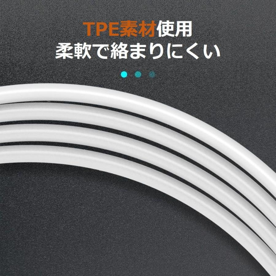 type-c to type-c C to L iPhone 充電ケーブル ライトニングケーブル 短い iPhone17 Air 16 15 14 13 充電 アイフォン ケーブル 25cm iPad iPod iPhone12 11 Xs | Apple | 03