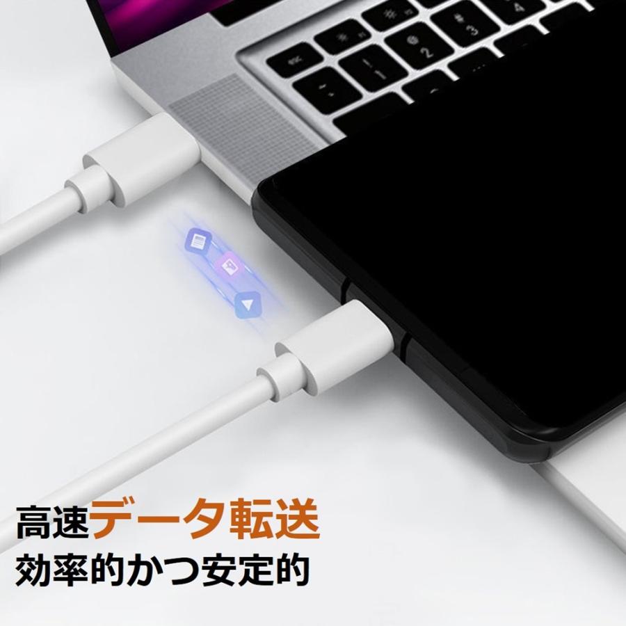 type-c to type-c C to L iPhone 充電ケーブル ライトニングケーブル 短い iPhone17 Air 16 15 14 13 充電 アイフォン ケーブル 25cm iPad iPod iPhone12 11 Xs | Apple | 08