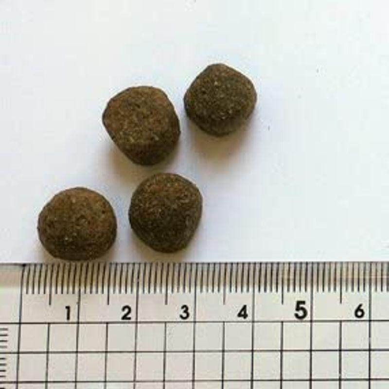 ブラックウッド ドッグフード 1000 チキン 20キログラム (x 1) ドッグフード チキン 20キログラム