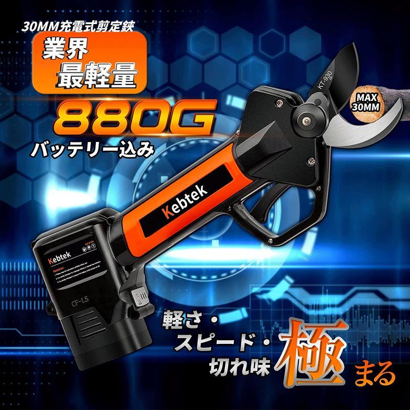 Kebtek 電動剪定バサミ テフロン非粘着性コーディング刃 16.8V コードレス 充電式剪定ばさみ 軽さ・スピード・切れ味の頂点機種 2 電動剪定バサミ テフロン非粘着性コーディング刃 8V コードレス 充電式剪定ばさみ 軽さ スピード 切れ味の頂点機種