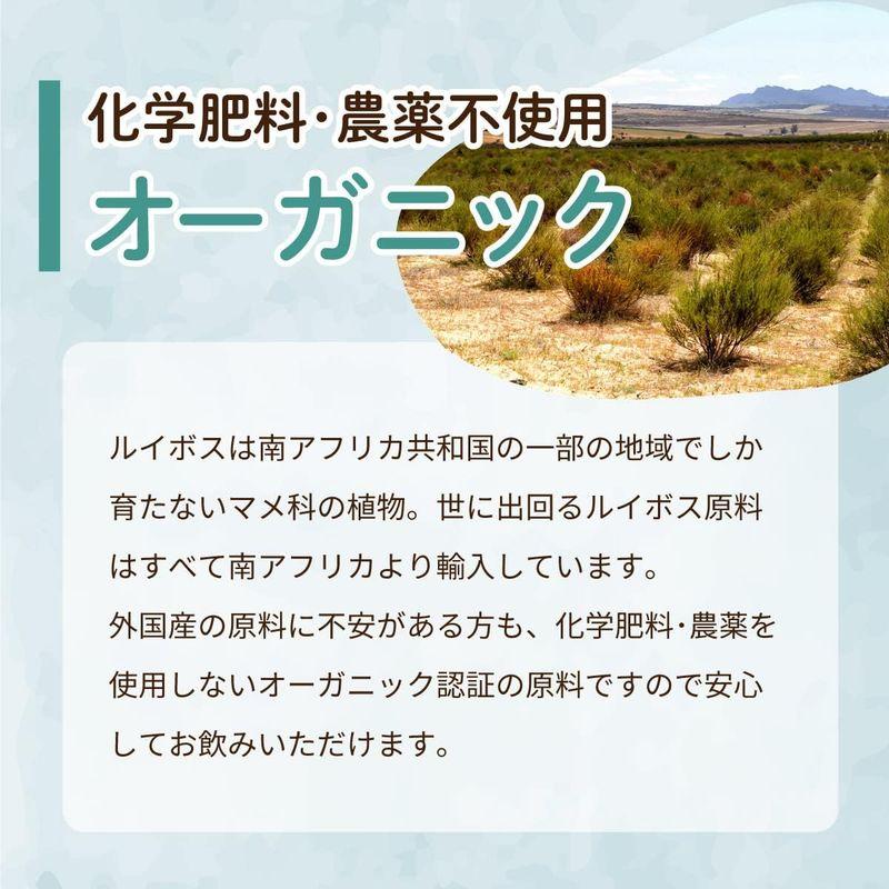 茶つみの里 オーガニック グリーンルイボスティー お徳用 ティーバッグ 100包（大容量 2g×100個入） ノンカフェイン｜rainbowtree｜06