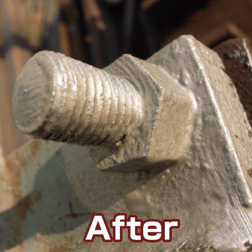 BAN-ZI サビキラー プロ 1KG シルバー 770026 |  | 03