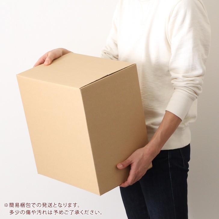 ダンボール 100サイズ A4 20枚セット 段ボール 梱包 配送 引越 収納