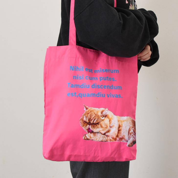 aristella アリステラ トートバッグ レディース a4 軽い 大きめ 大容量