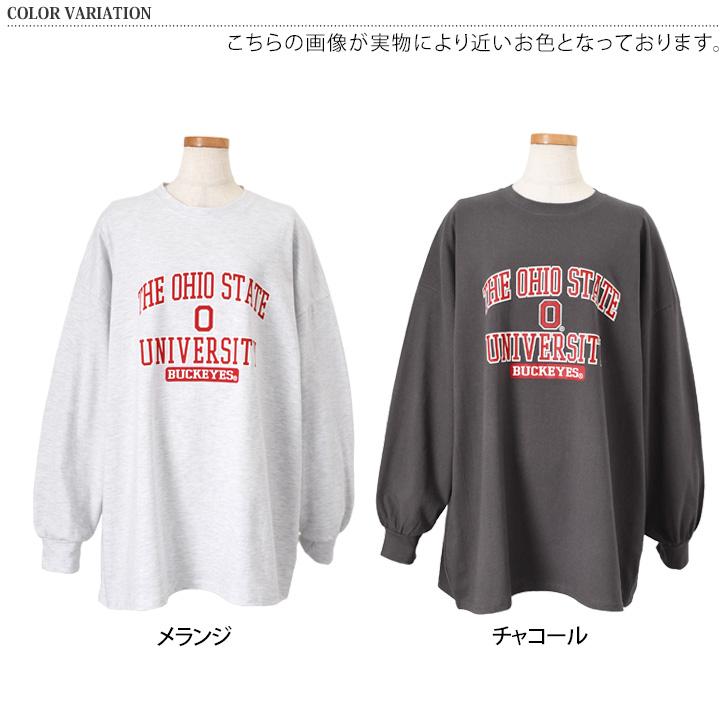 ロンT 長袖 Tシャツ カットソー レディース 厚手 ヘビーウェイト 春