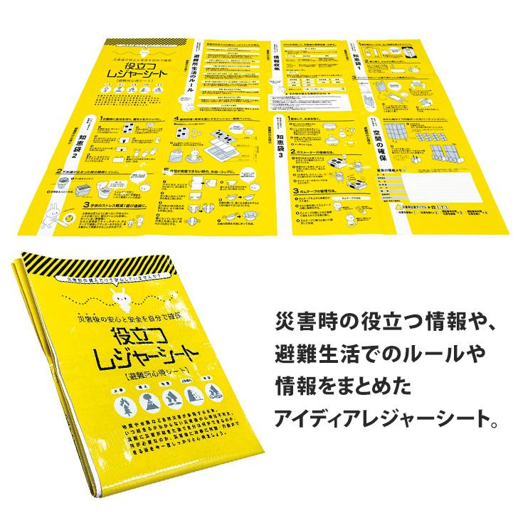 防災セット 35点セット 持ち出し 1人用 女性 中身だけ 防災バッグ 防災