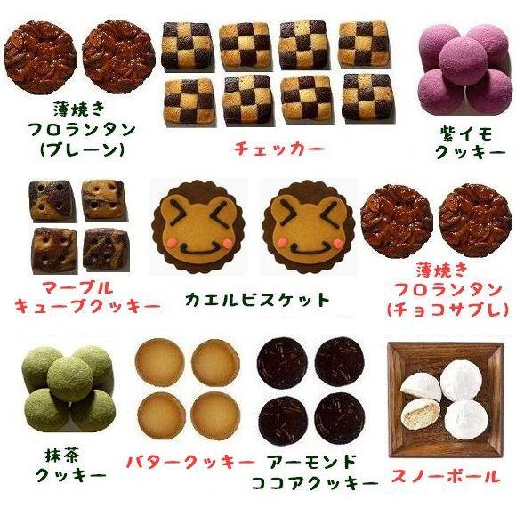 クッキー缶 カエル 可愛い 誕生日 プレゼント 男の子 ギフト お返し 発表会 記念品 差し入れ お菓子 お中元 |  | 01