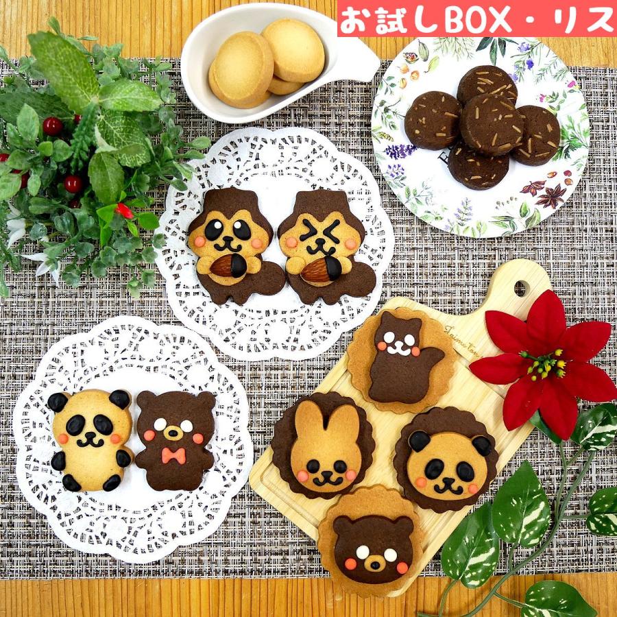 リス クッキー お試しセット 差し入れ 発表会 プレゼント 記念品 おしゃれ お中元 ギフト お菓子 お返し | 
