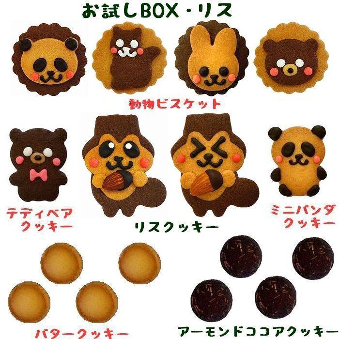 リス クッキー お試しセット 差し入れ 発表会 プレゼント 記念品 おしゃれ お中元 ギフト お菓子 お返し |  | 01