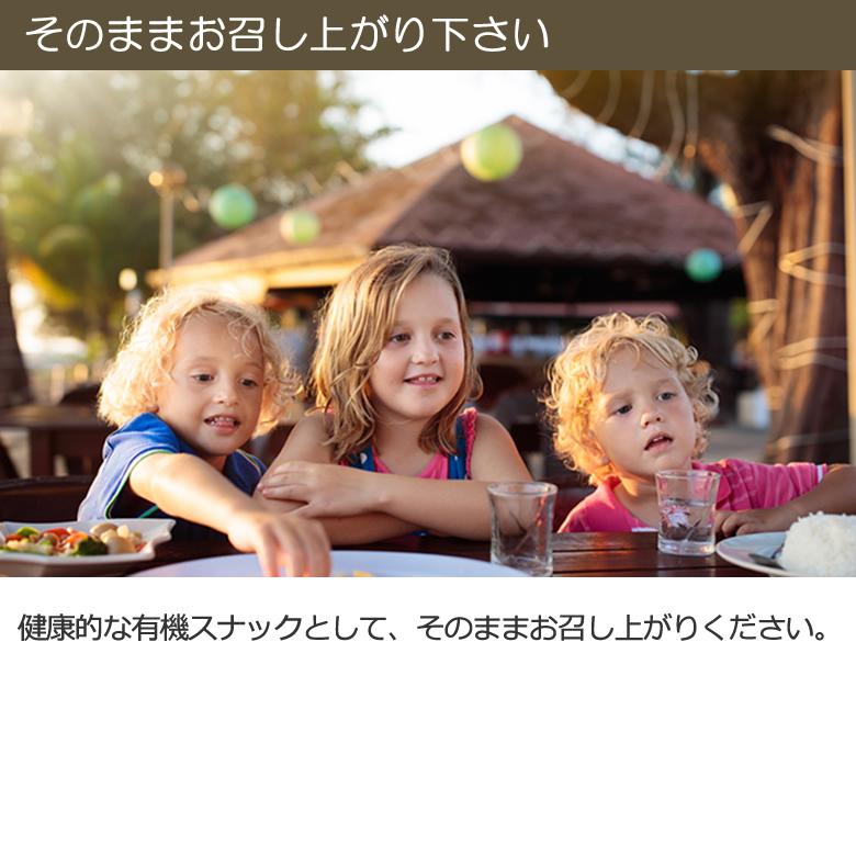 有機JASオーガニック ココナッツチップ トースト 230g 1袋 ノンフライ