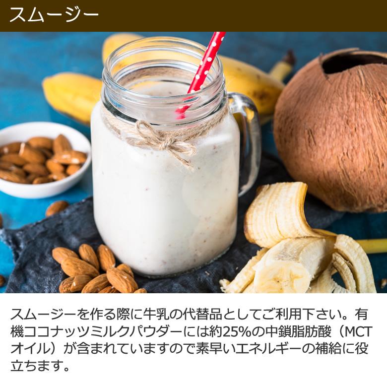 オーガニック ココナッツミルクパウダー 400g 3袋 ORGANIC COCONUT