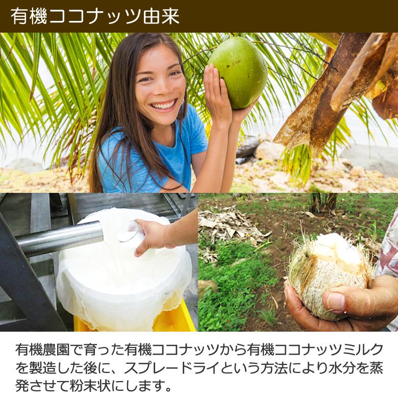 オーガニックココナッツミルクパウダー 400g Real Food（リアルフード）、オーガニックココナッツミルクパウダー