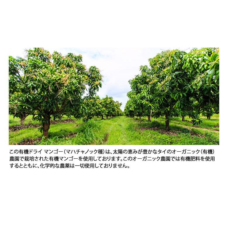有機JASオーガニック ドライマンゴー マハチャノック種 50g 2袋 防腐剤