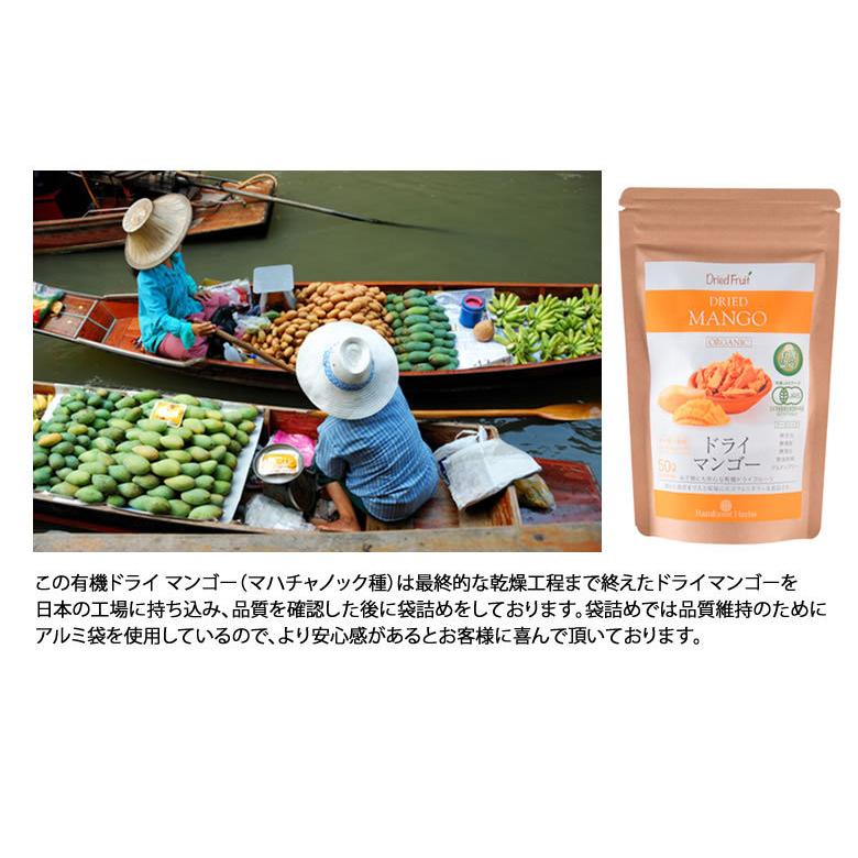 ドライマンゴー 有機JASオーガニック マハチャノック種 50g 3袋 無添加