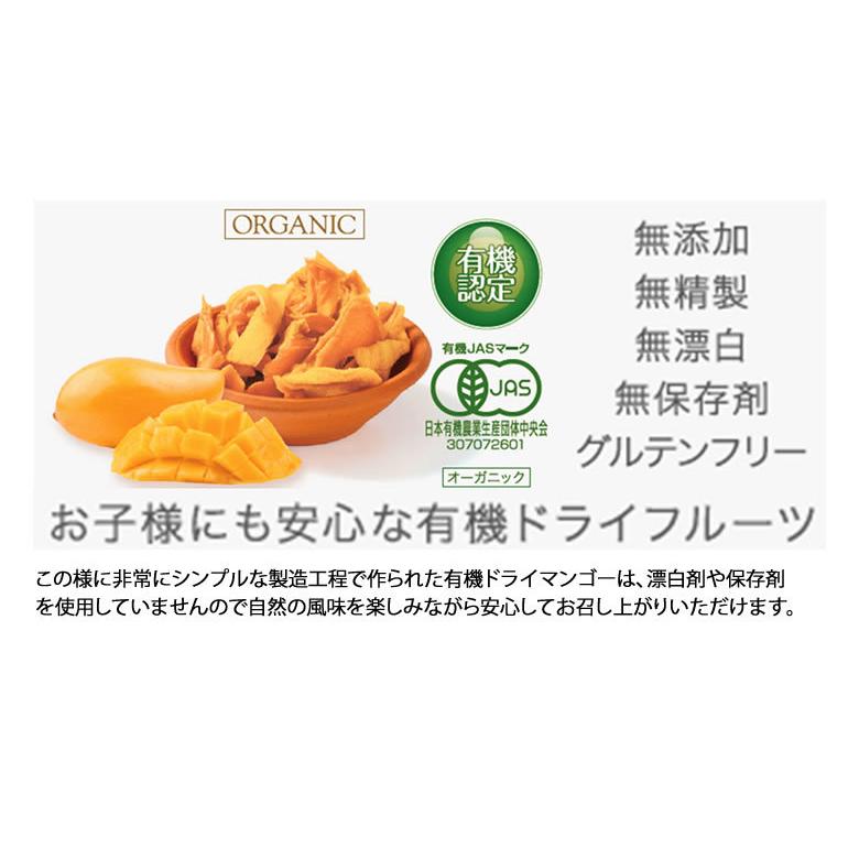 ドライマンゴー 有機JASオーガニック マハチャノック種 50g 12袋 無添加 砂糖不使用 タイ産｜rainforest-herbs｜06