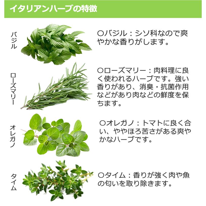 亜麻仁油 イタリアンハーブミックス 170g 6本 ニュージーランド産 フラックスシードオイル 亜麻仁オイル あまに油 Rffh1706 レインフォレストハーブyahoo 店 通販 Yahoo ショッピング