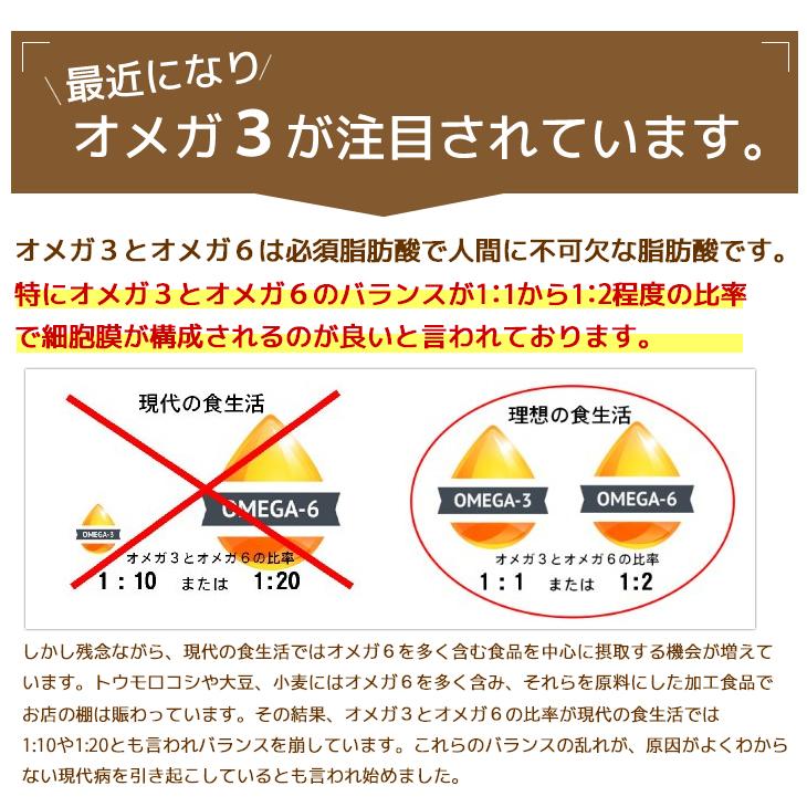 亜麻仁油 有機JASオーガニック エキストラバージン フラックスシードオイル 170g 3本 ニュージーランド産 低温圧搾一番搾り｜rainforest-herbs｜06