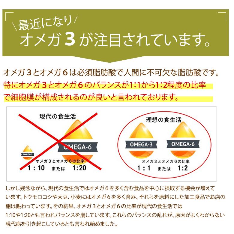 ヘンプシードオイル 麻の実油 エキストラバージン ヘンプオイル 170g 6本 リトアニア産 低温圧搾一番搾り｜rainforest-herbs｜06