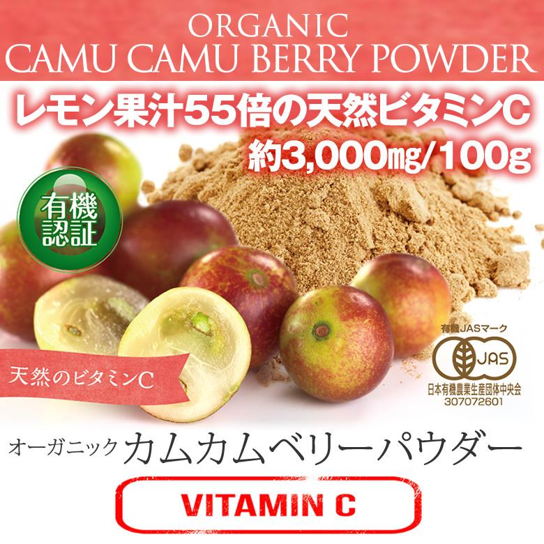 有機JASオーガニック カムカムベリーパウダー 100g 1袋 天然のビタミン