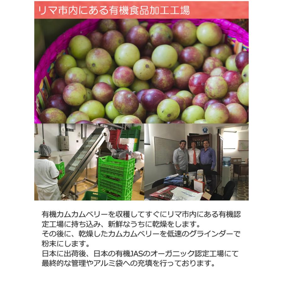 有機JASオーガニック カムカムベリーパウダー 100g 1袋 天然のビタミン