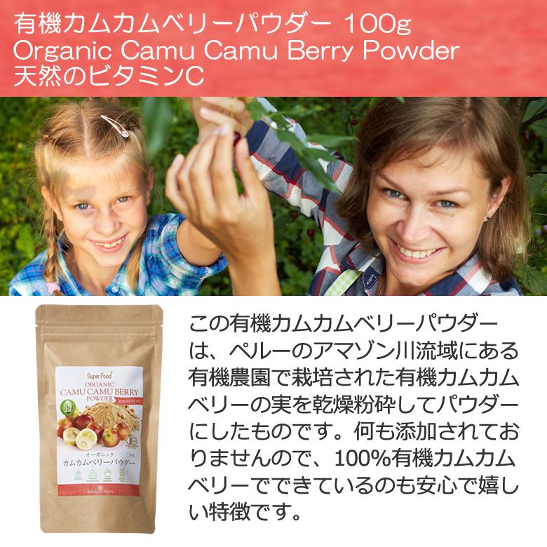有機JASオーガニック カムカムベリーパウダー 100g 1袋 天然のビタミン