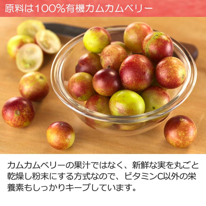 有機JASオーガニック カムカムベリーパウダー 100g 1袋 天然のビタミン