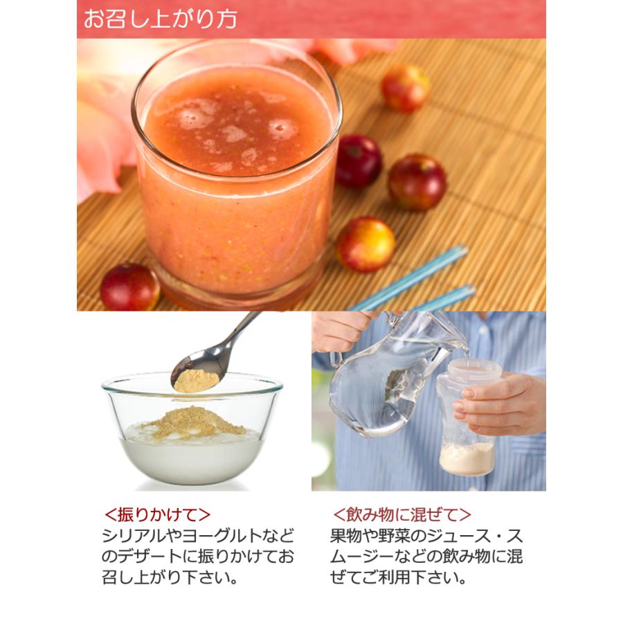 有機JASオーガニック カムカムベリーパウダー 100g 1袋 天然のビタミン