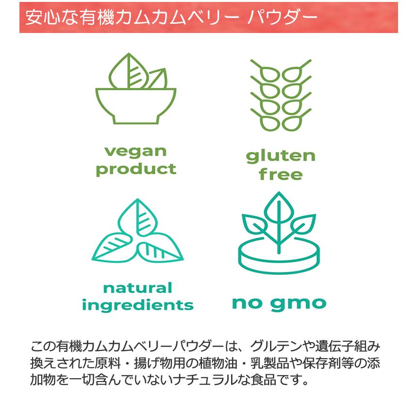 有機JASオーガニック カムカムベリーパウダー 100g 1袋 天然のビタミン