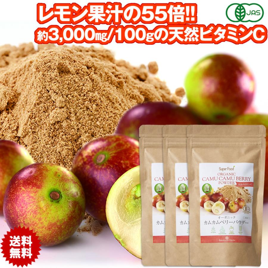 有機JASオーガニック カムカムベリーパウダー 100g 3袋 天然のビタミン