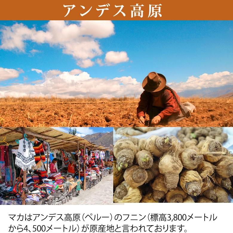 ペルーアンデスパワフルマカ