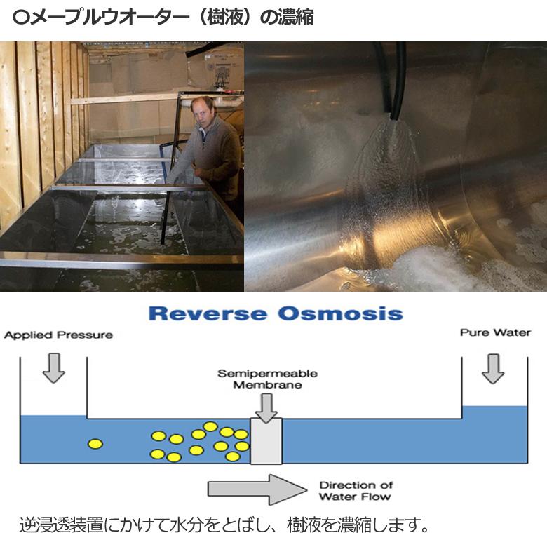 有機 メープルシロップ 330g 3本 カナダ産 JAS オーガニック｜rainforest-herbs｜17