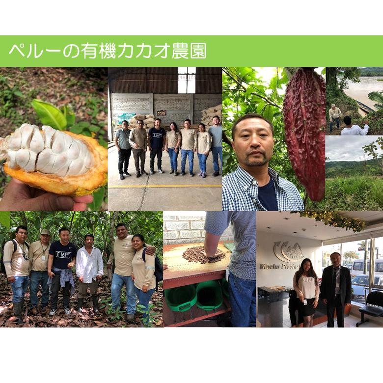 バレンタイン ダイエットの味方 有機JASオーガニック アガベチョコレート 300g 3個 有機ダーク板チョコレート カカオ70％ 乳化剤 添加物不使用 | ブランド登録なし | 14