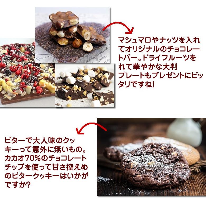 レギュラーサイズ】ダイエットの味方 チョコチップ 有機カカオ70