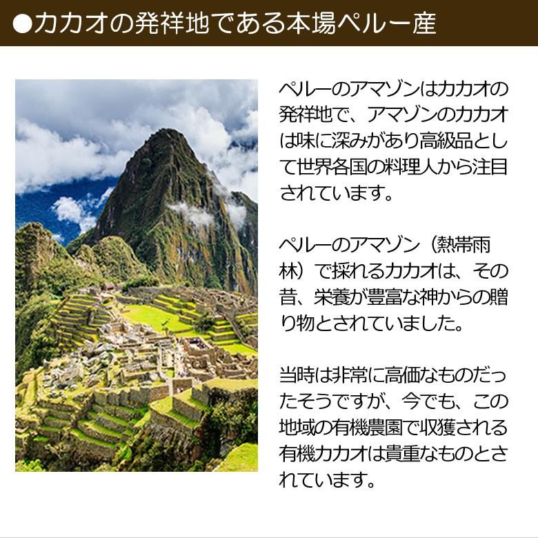 有機カカオバター ココアバター ペルー産 300g 1袋 有機JASオーガニック カカオバター100％ 未脱臭 溶剤不使用｜rainforest-herbs｜11
