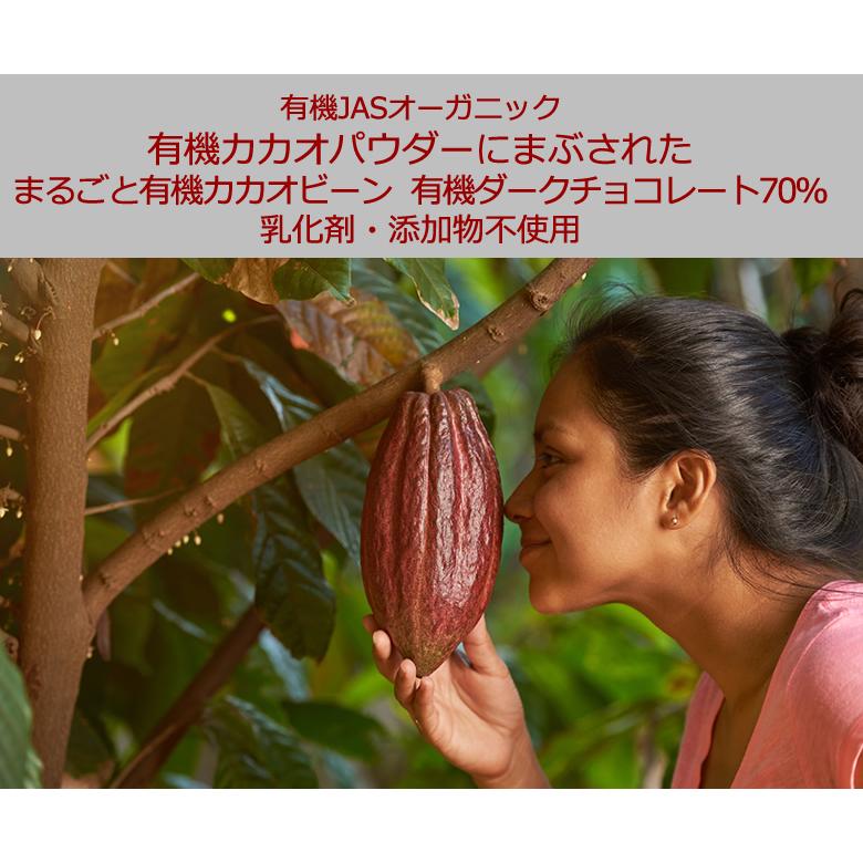 有機カカオビーンチョコレート 300g 1袋 ペルー産 カカオ70％ カカオ豆を有機チョコでくるんだ 高カカオ チョコレート チョコボール｜rainforest-herbs｜03