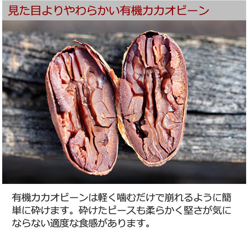 期間限定30%オフ 有機カカオビーンチョコレート 300g 1袋 ペルー産 カカオ70％ カカオ豆を有機チョコでくるんだ 高カカオ チョコレート チョコボール｜rainforest-herbs｜06