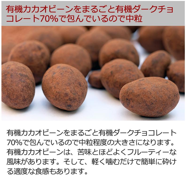 有機カカオビーンチョコレート 300g 6袋 ペルー産 カカオ70％ カカオ豆を有機チョコでくるんだ 高カカオ チョコレート チョコボール｜rainforest-herbs｜05