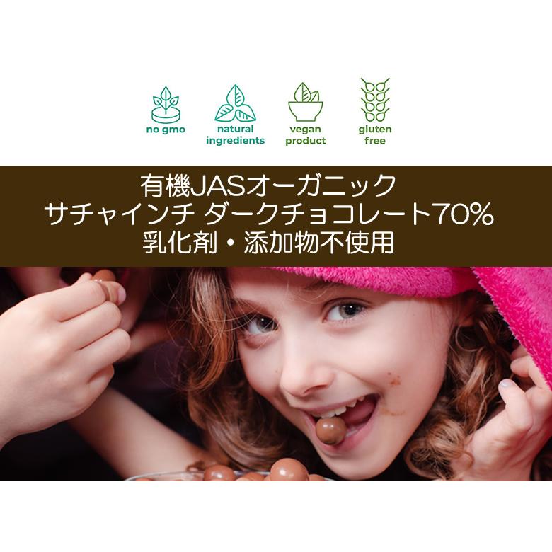 有機サチャインチ チョコレート カカオ70% 300g 1個 ペルー産 チョコ