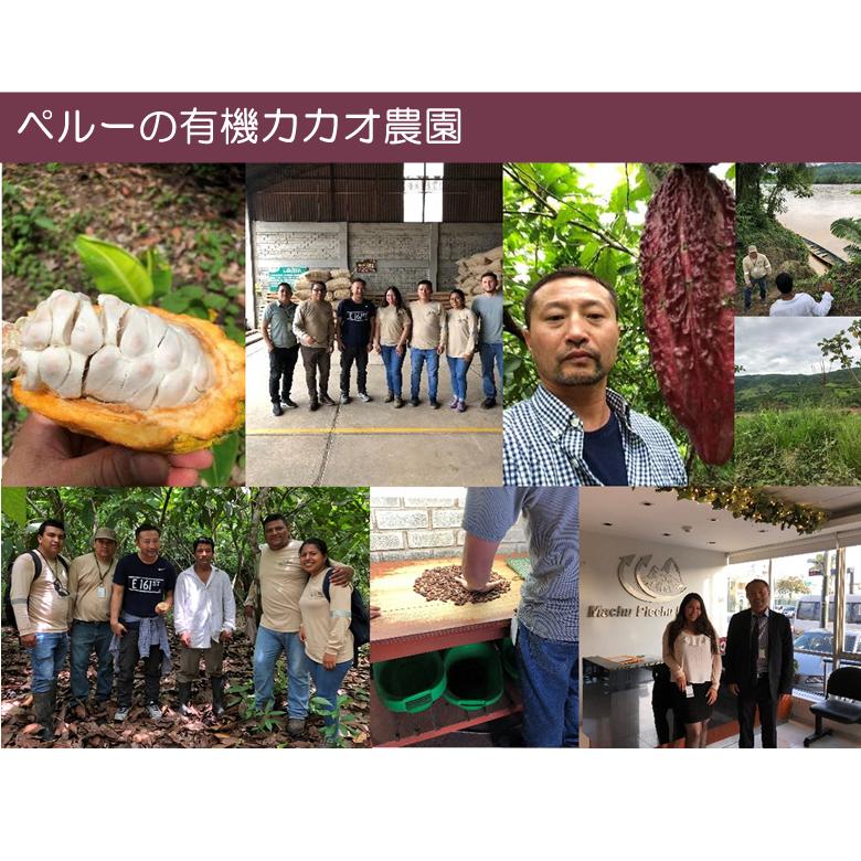 有機サチャインチ チョコレート カカオ70% 300g 3個 ペルー産 チョコ