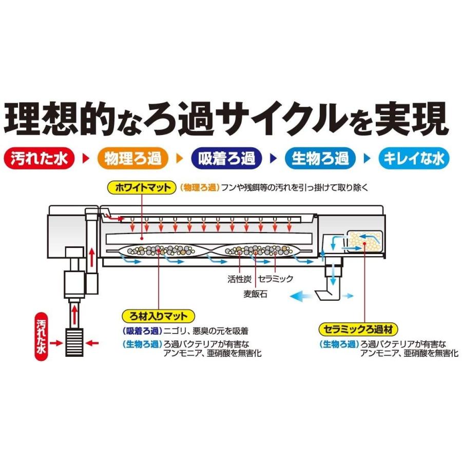 ジェックス デュアルクリーン600 Dc 600 水槽用 上部式フィルター 60cm水槽用 61 5x13 2x10セン エアーポンプ 梱包についてのご希望 簡易梱包を希望する Www Mantraman Com Mx